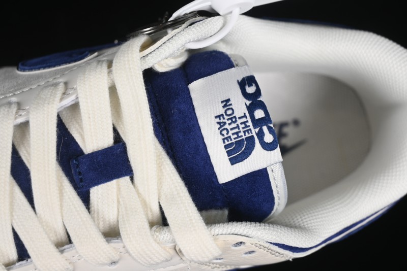 Nike SB Dunk Low The North Face Collaboration - Anniversary Edition Customized Low-Top Casual Skate Shoes - DQ10998-512