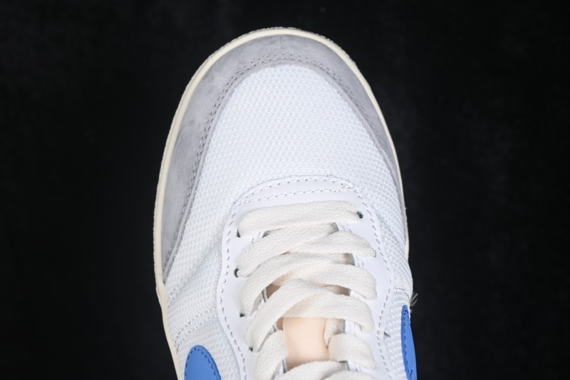 Nike Air Jordan Skyline Low Retro Basketball Shoes IM2055-100